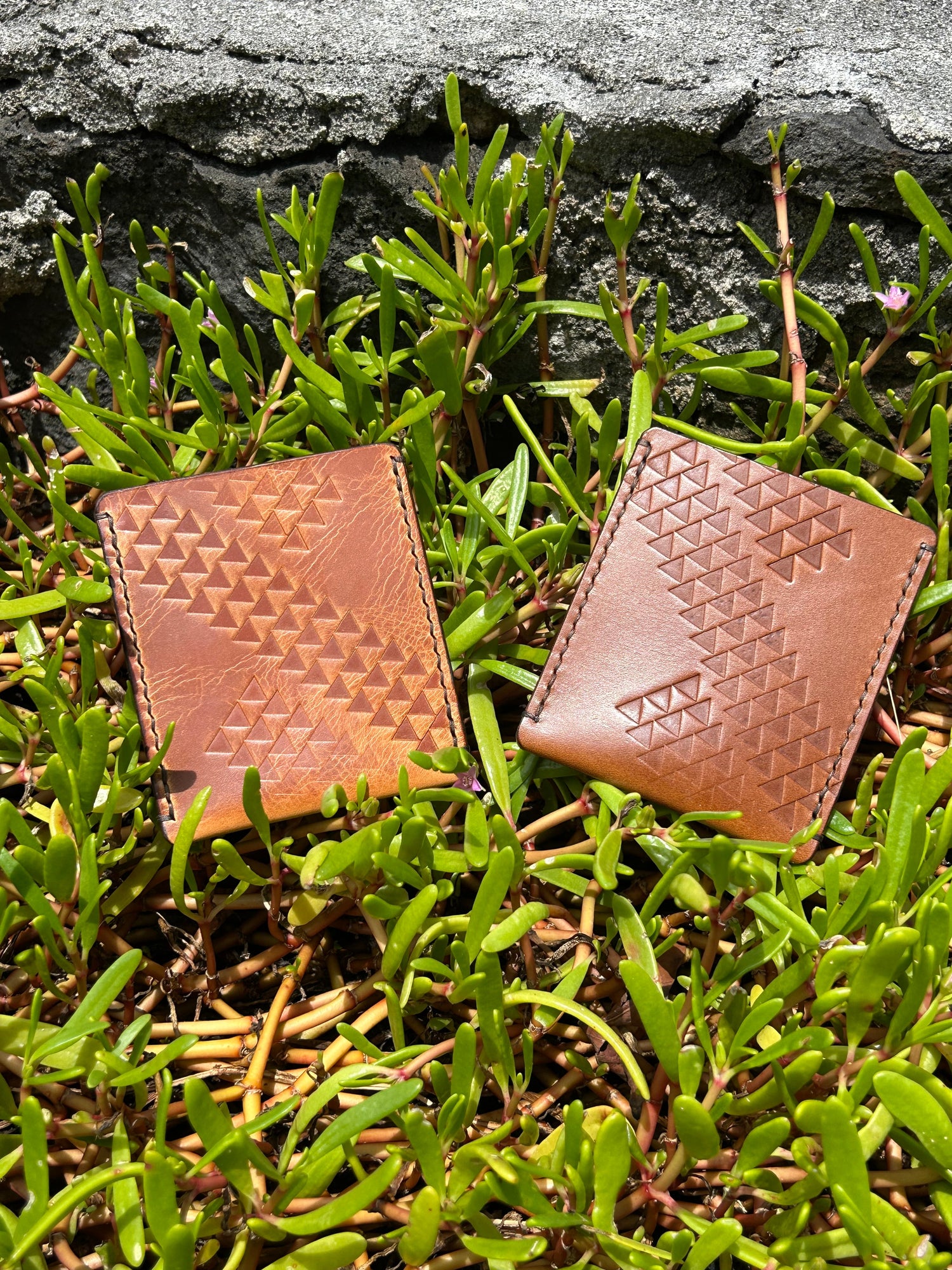 Card Sleeves